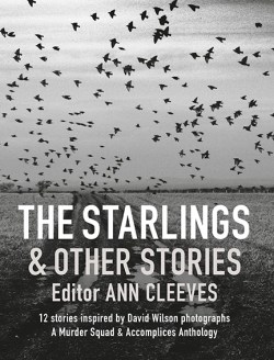 The Starlings